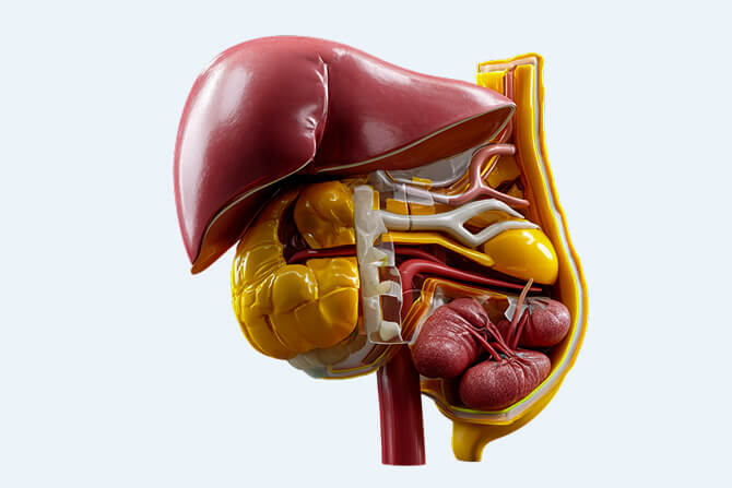 иллюстрации к описанию